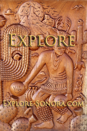 Visit the Explore-Sonora website